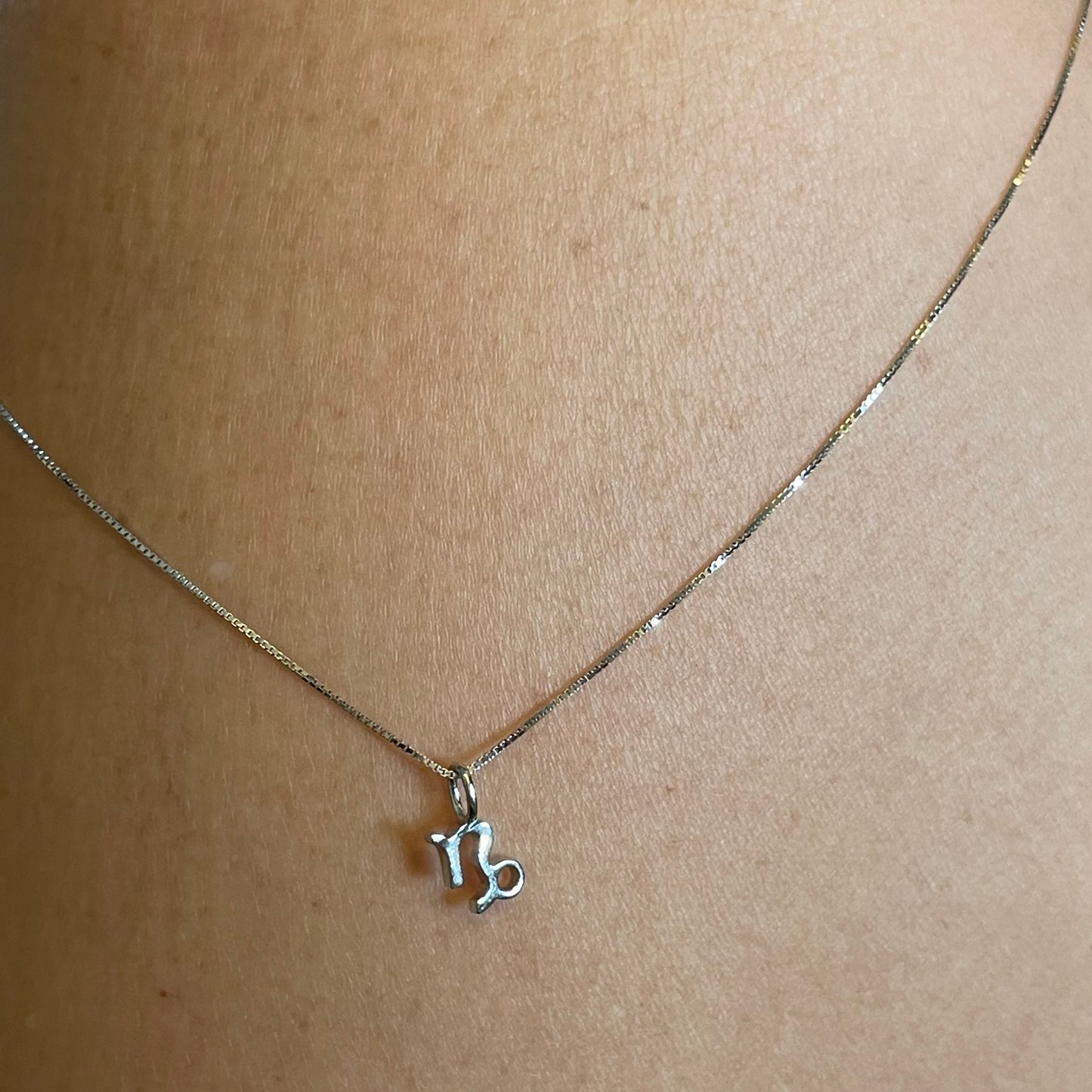 Sterling Silver Small Capricorn Sign Necklace, Zodiac Pendant, Astrology Necklace, Horoscope Necklace, Silver Necklace, Capricorn Necklace