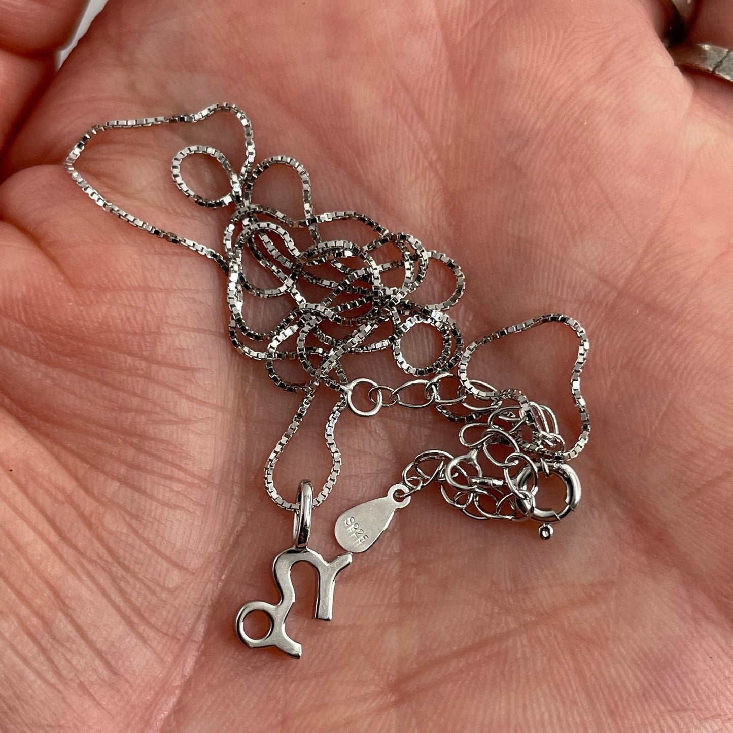 Sterling Silver Small Capricorn Sign Necklace, Zodiac Pendant, Astrology Necklace, Horoscope Necklace, Silver Necklace, Capricorn Necklace