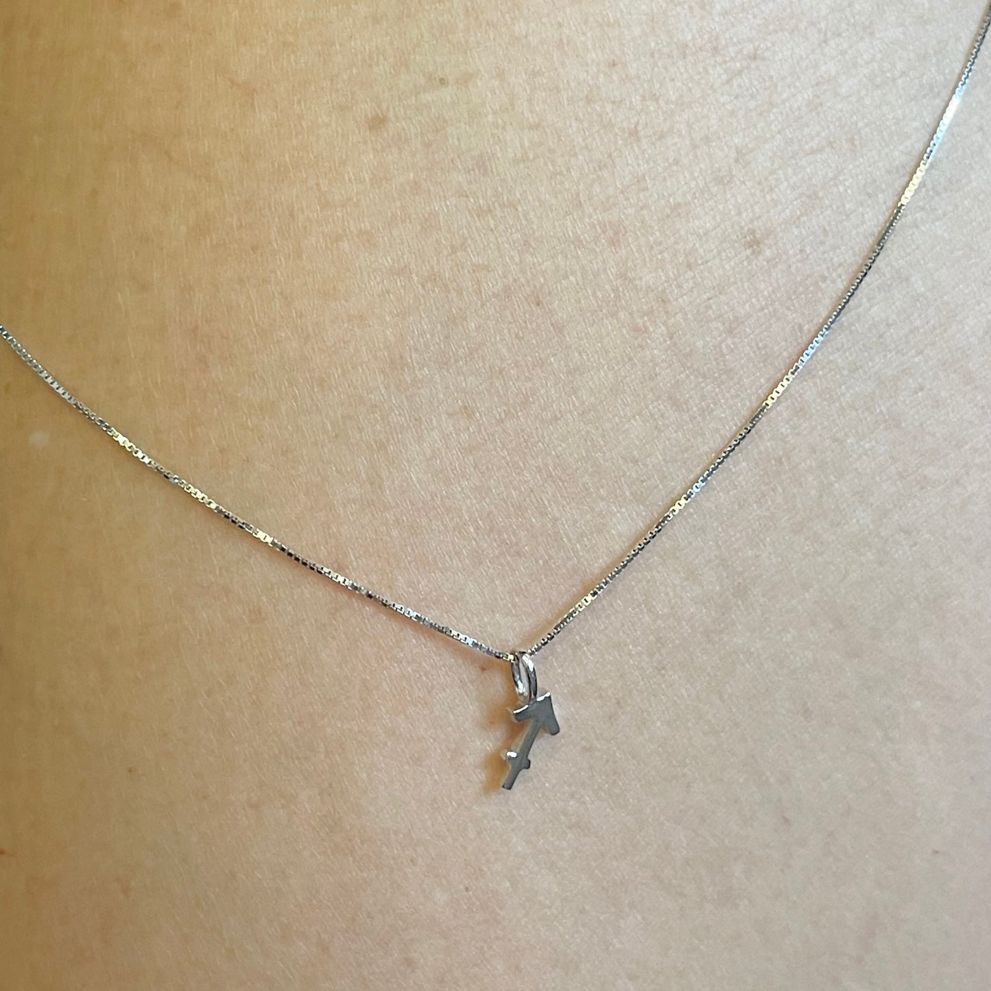 Sterling Silver Tiny Sagittarius Sign Necklace, Zodiac Pendant, Astrology Necklace, Horoscope Necklace, Dainty Chain, Sagittarius Necklace