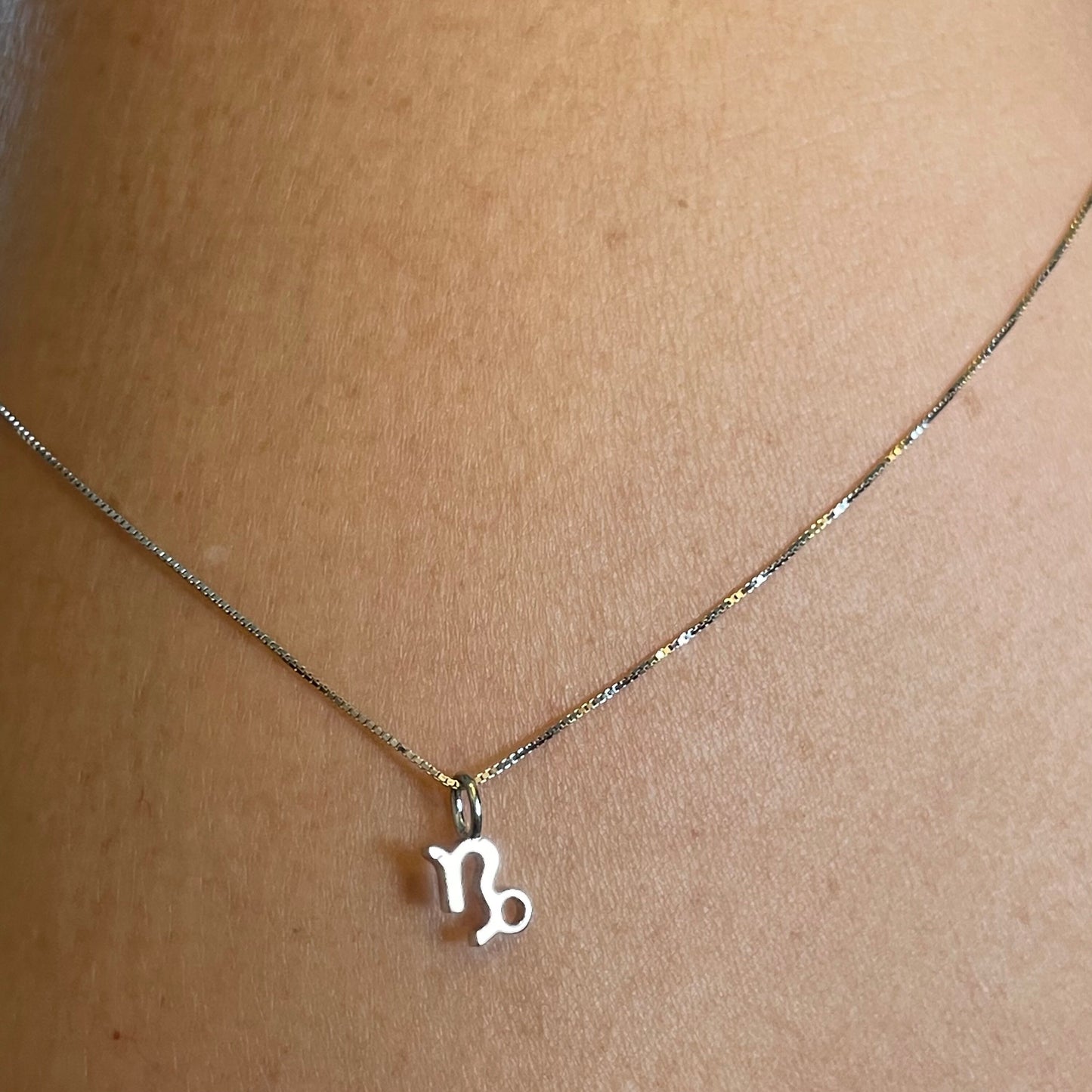 Sterling Silver Capricorn Zodiac Sign Necklace: Dainty Horoscope Pendant