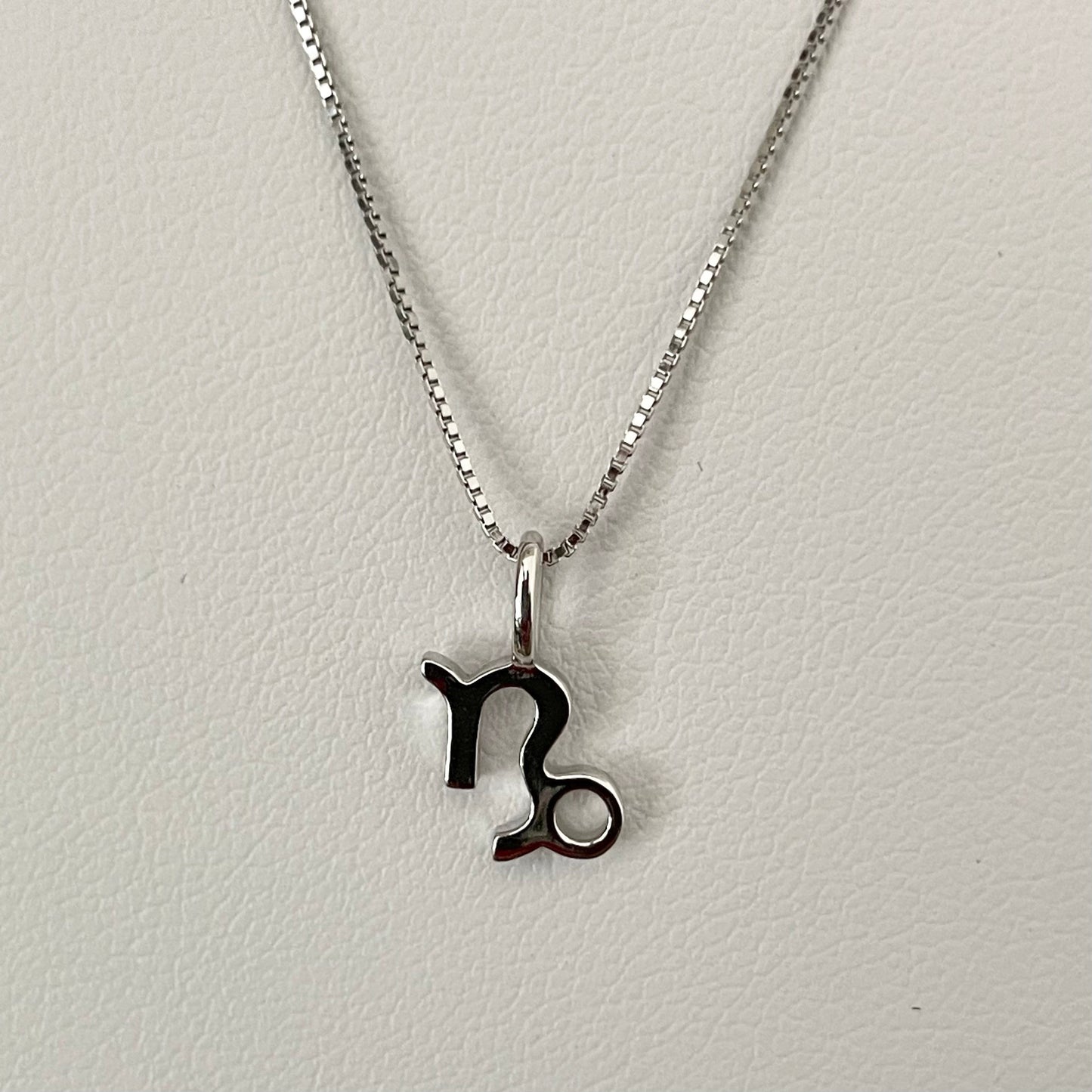 Sterling Silver Capricorn Zodiac Sign Necklace: Dainty Horoscope Pendant