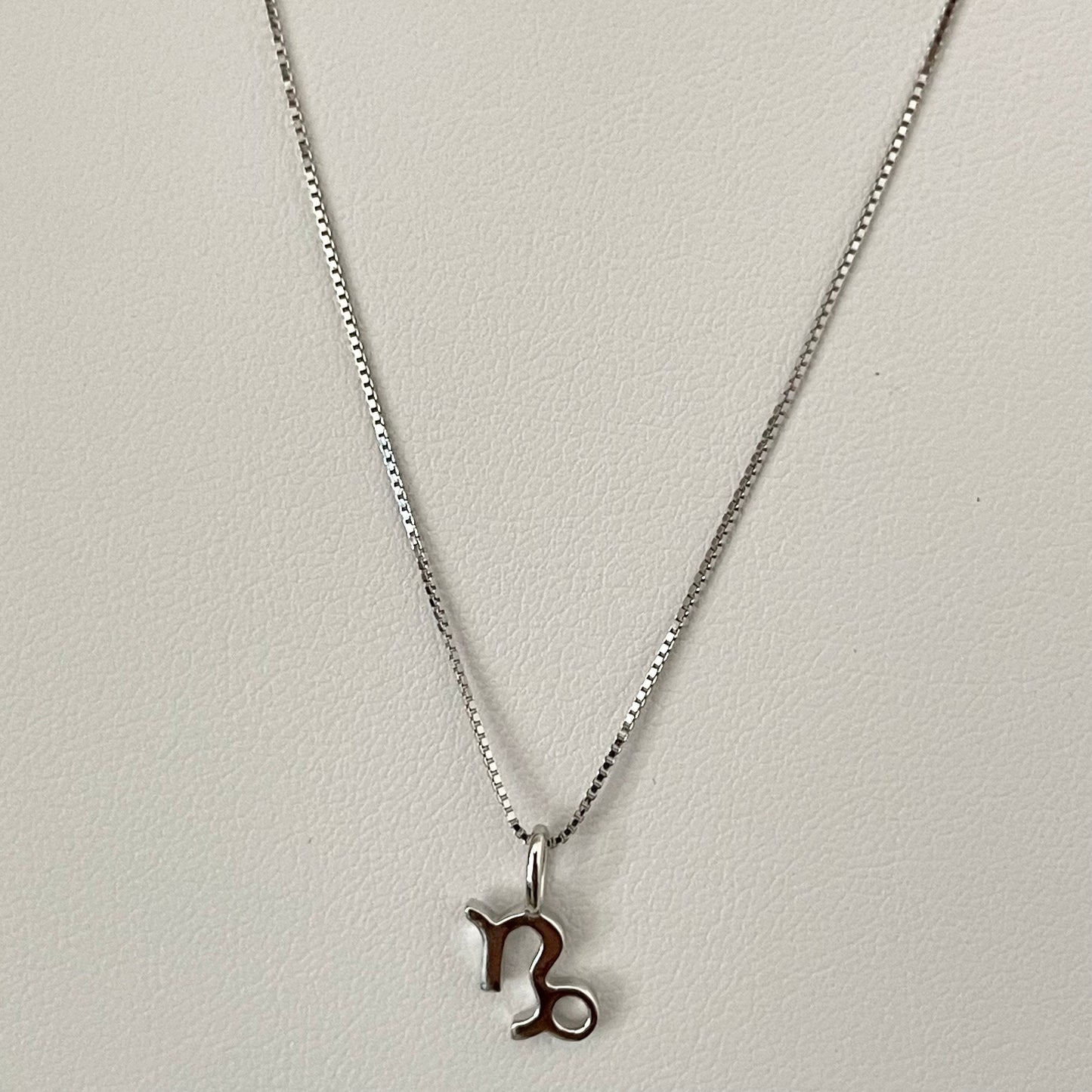 Sterling Silver Capricorn Zodiac Sign Necklace: Dainty Horoscope Pendant