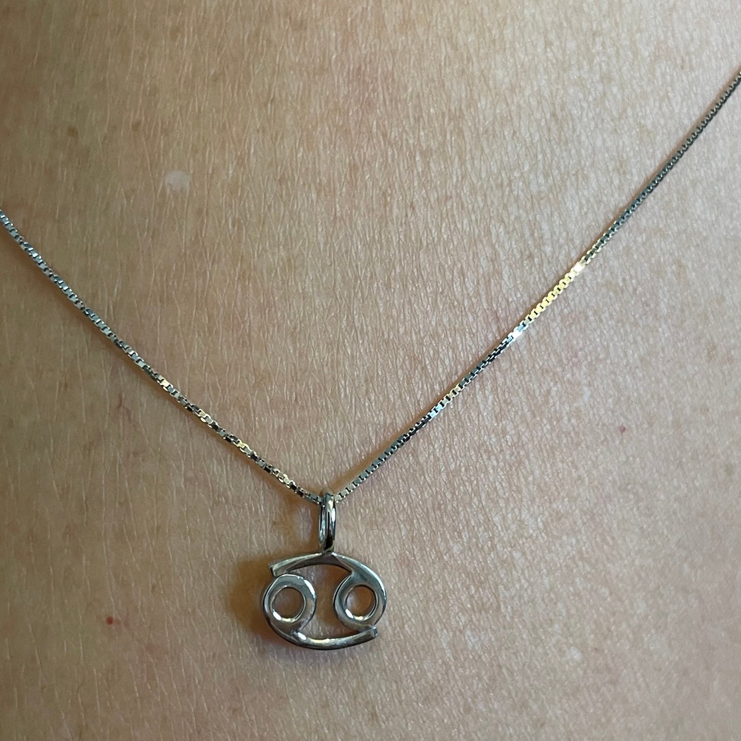Sterling Silver Cancer Zodiac Pendant Necklace