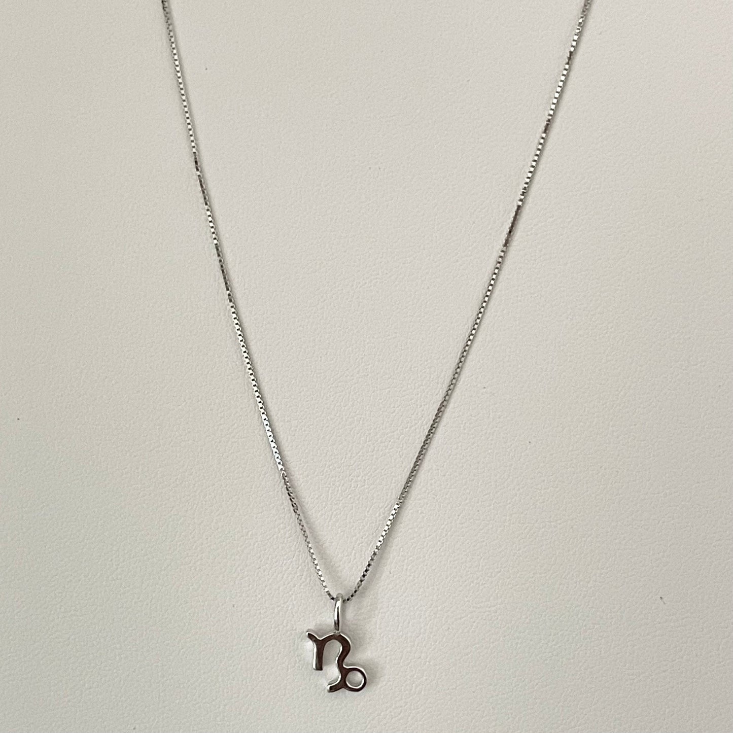 Sterling Silver Capricorn Zodiac Sign Necklace: Dainty Horoscope Pendant