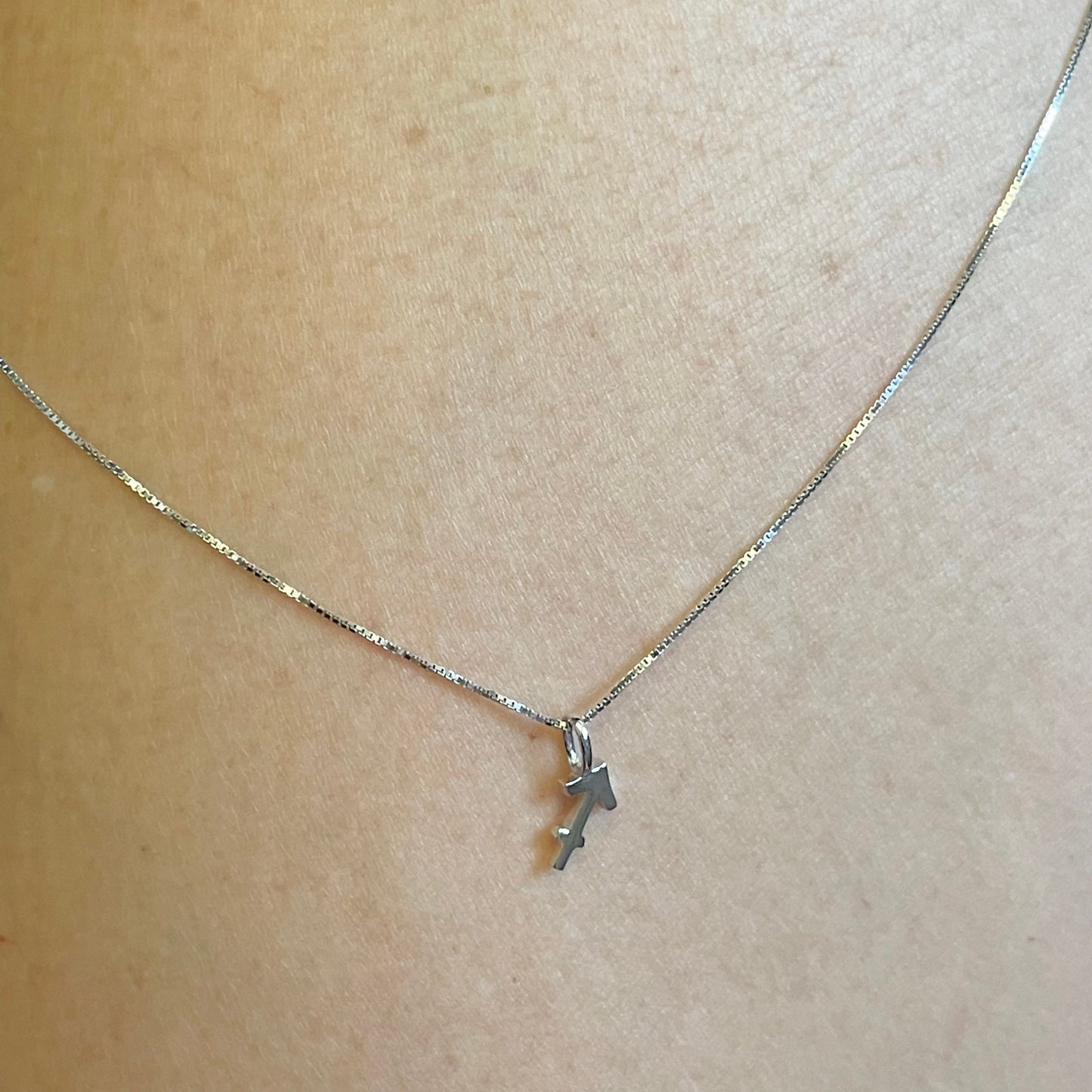 Sterling Silver Sagittarius Necklace: Tiny Zodiac Sign Pendant