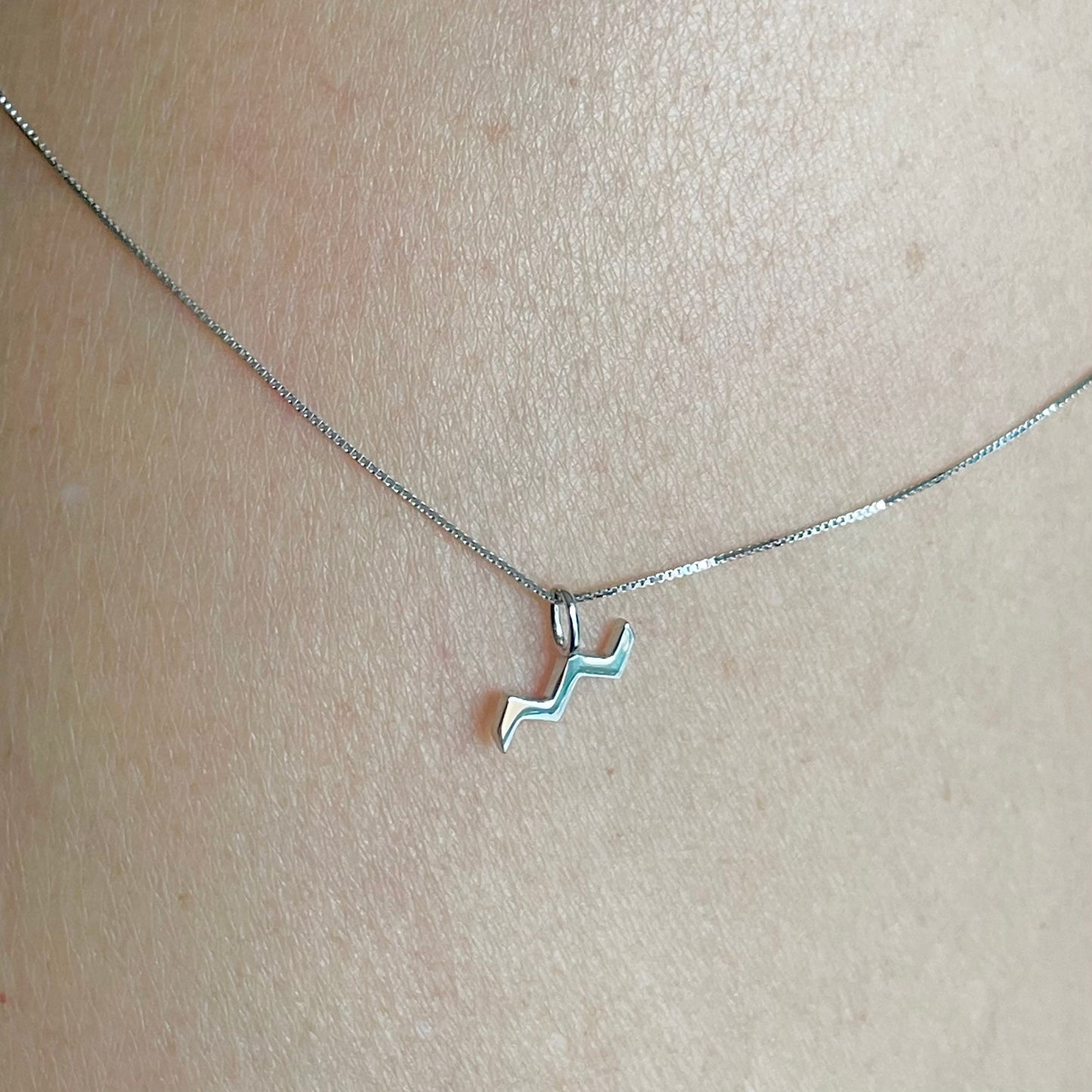 Sterling Silver Aquarius Zodiac Sign Necklace: Dainty Astrology Pendant
