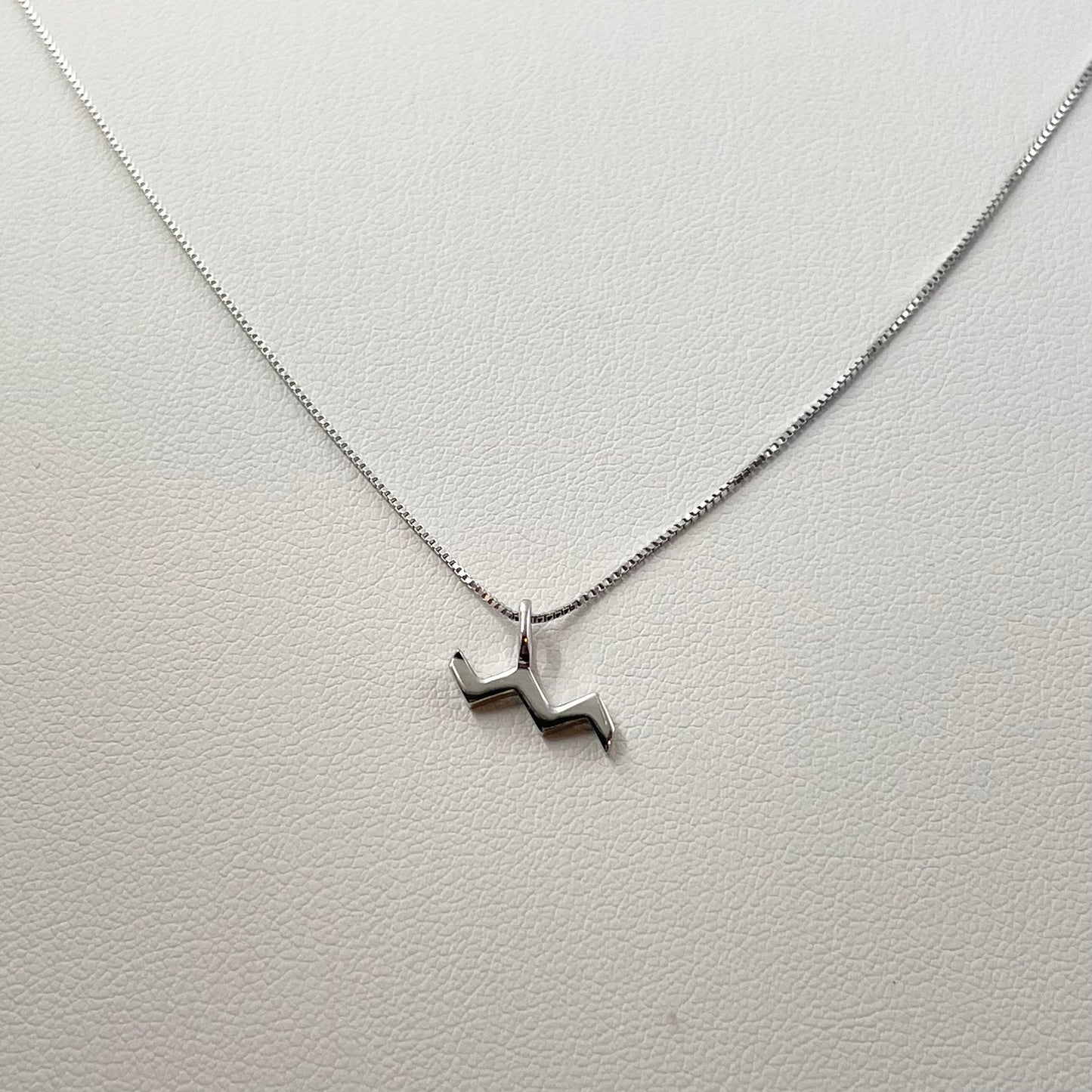Sterling Silver Aquarius Zodiac Sign Necklace: Dainty Astrology Pendant